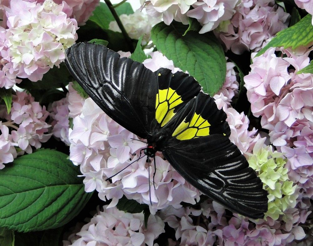 Photograph by Oksana