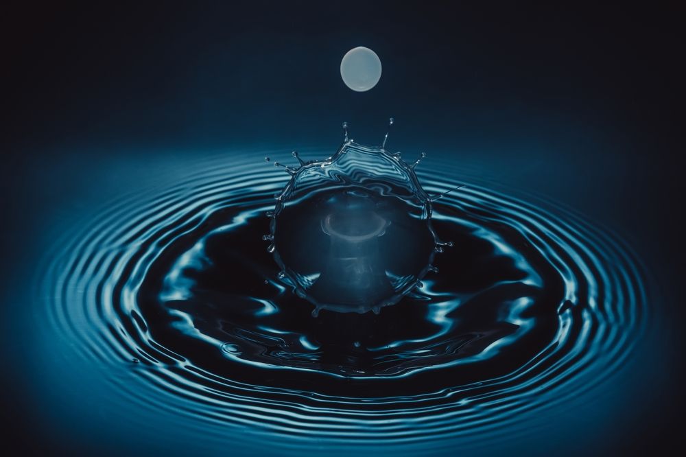 Photograph by Kamil Stępień