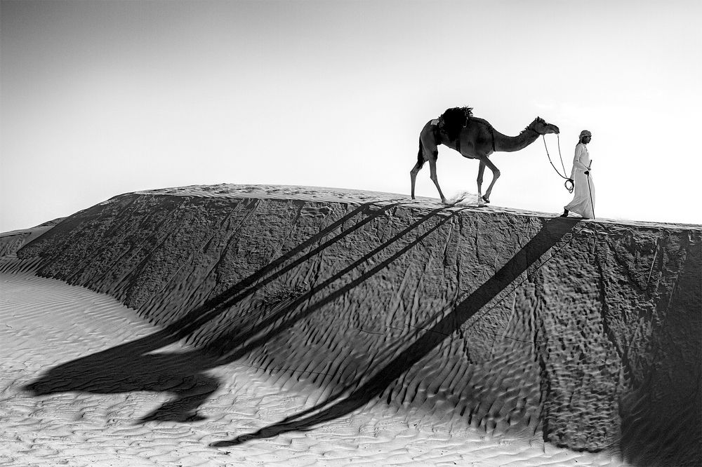 Photograph by Amal Alameer