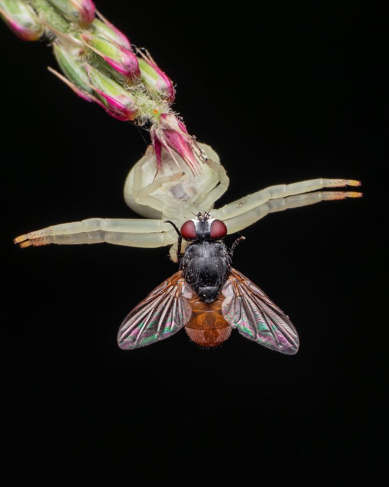 Photograph by Protik Chowdhury