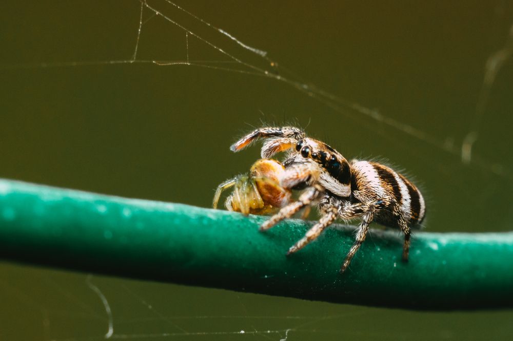 Photograph by Kamil Stępień