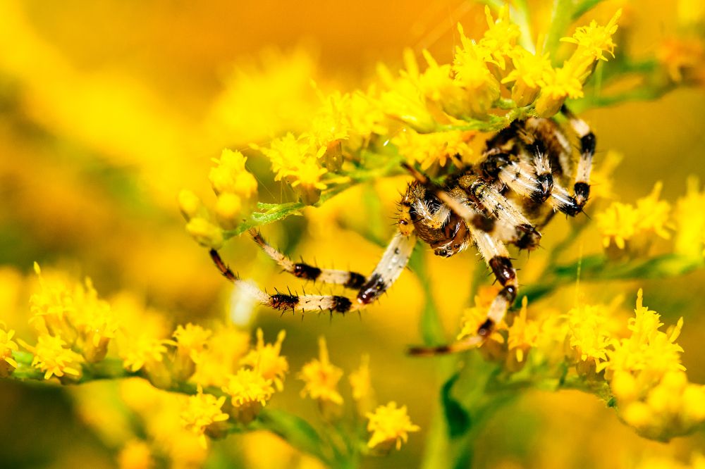 Photograph by Kamil Stępień