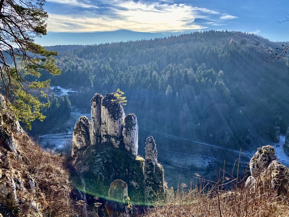 Photograph by Alesya