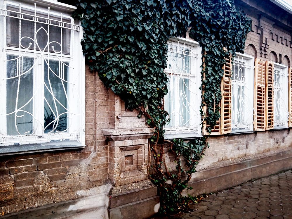 Photo #7230056