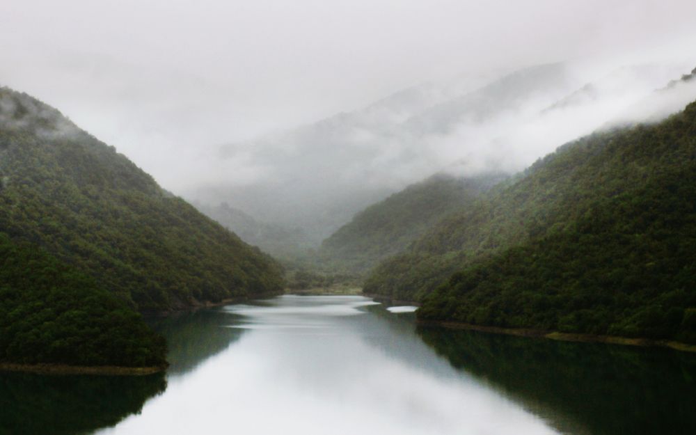 Photograph by Jul Owl