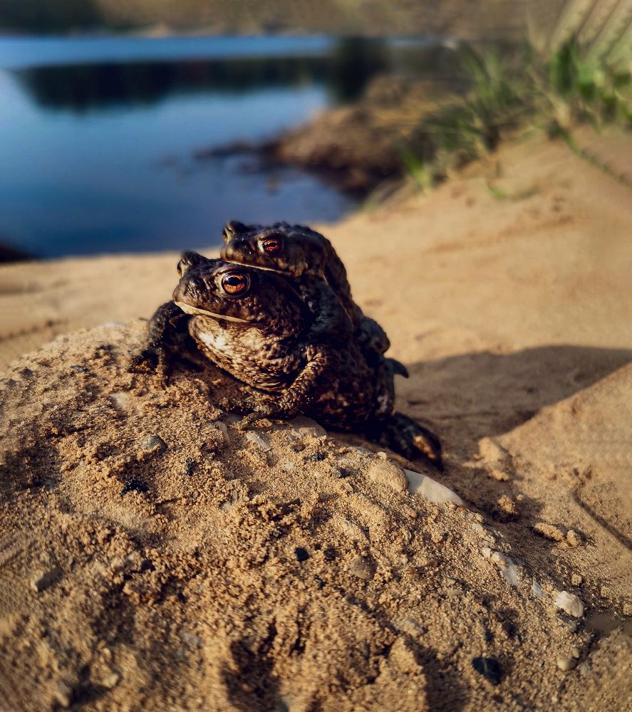Photograph by Светлана Перминова