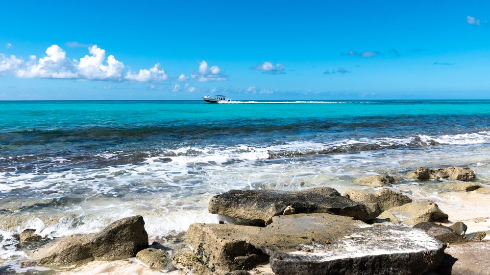 Photograph by Марина Брик