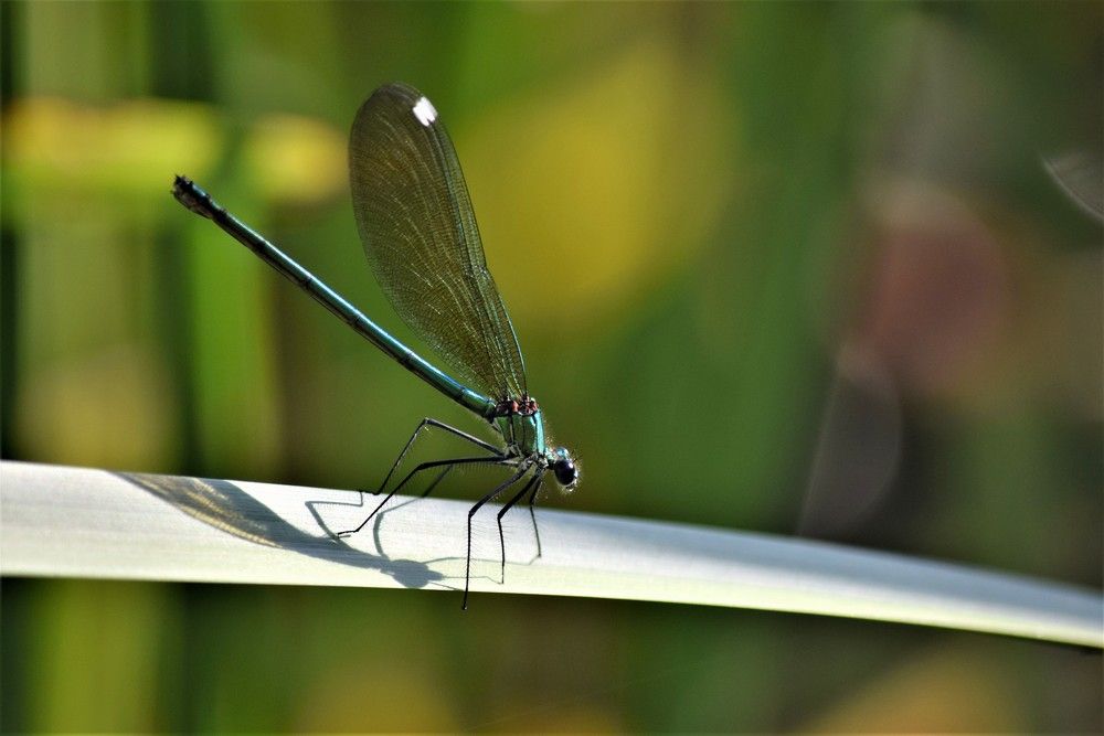 Присесть на дорожку.