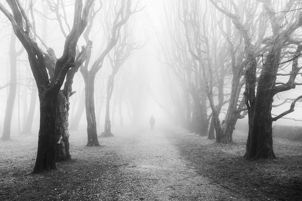 Photograph by Magda Chudzik