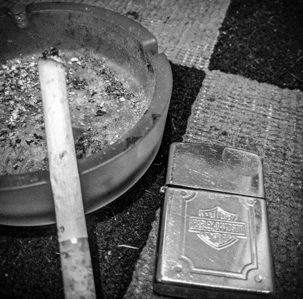 Photo #7230449