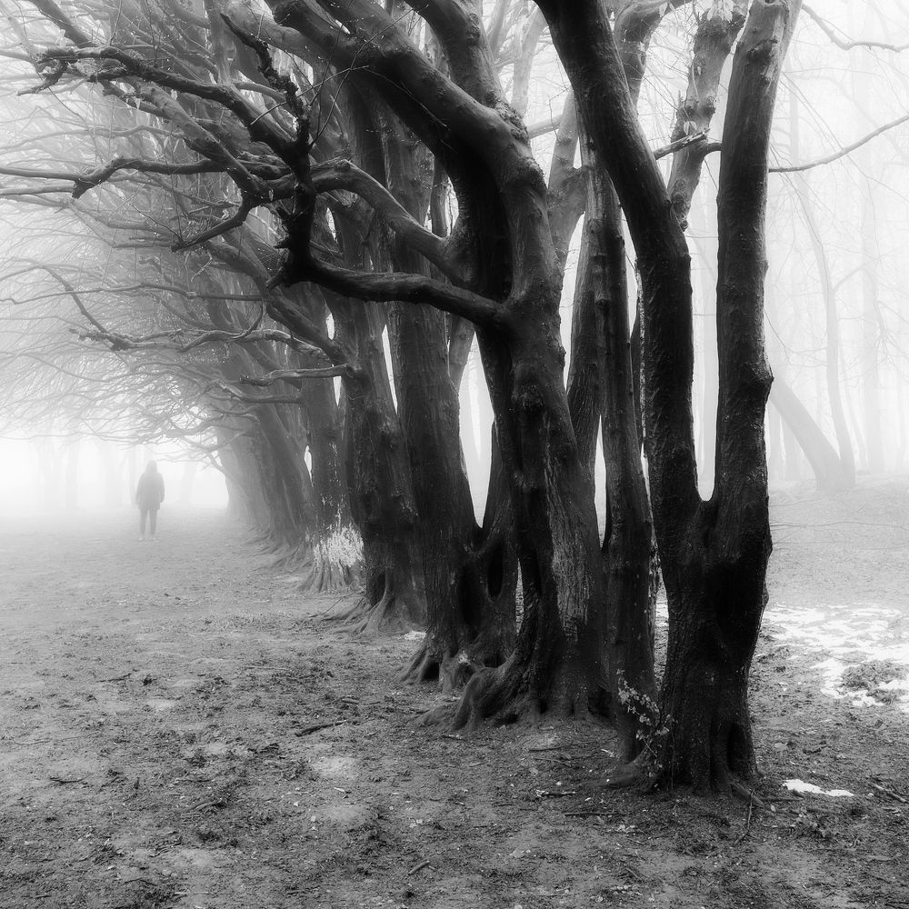 Photograph by Magda Chudzik