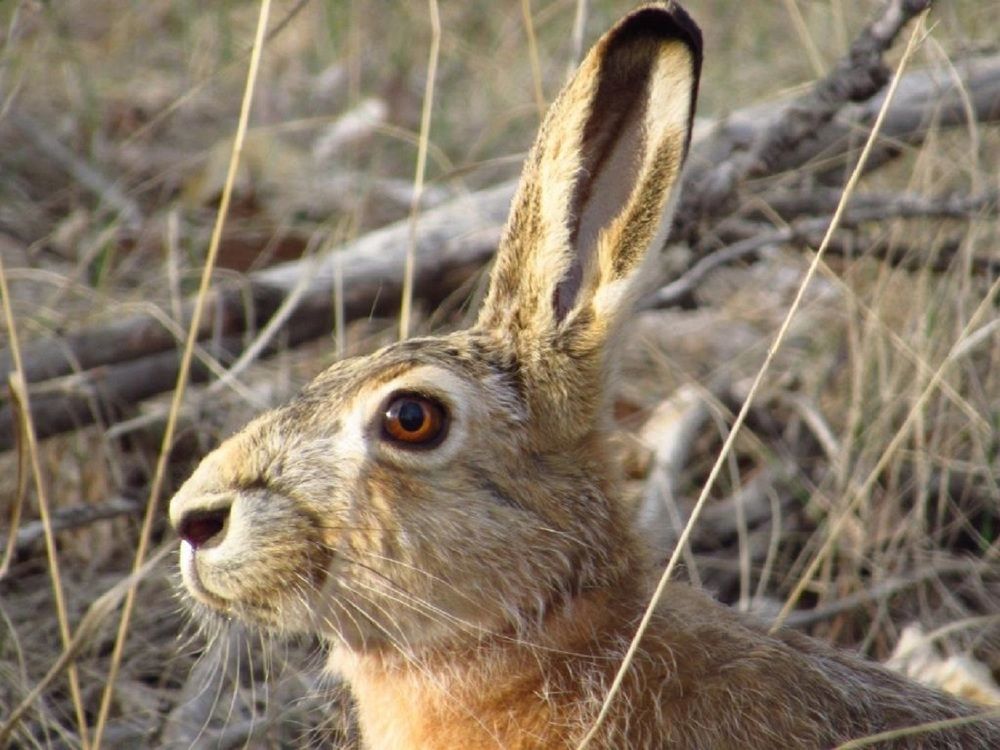 Photograph by Денис