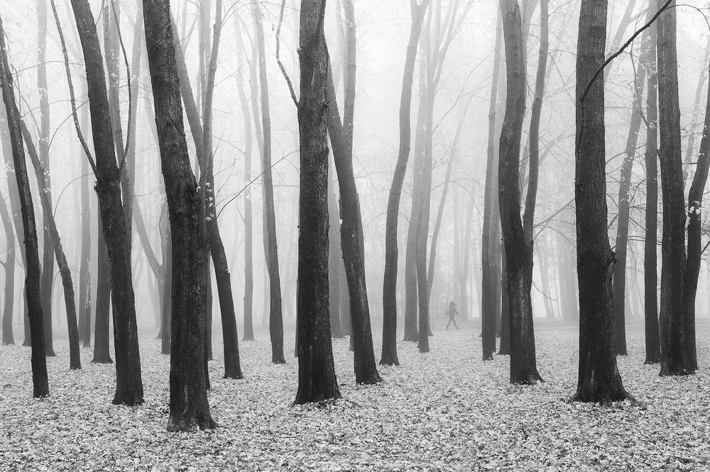 Photograph by Magda Chudzik