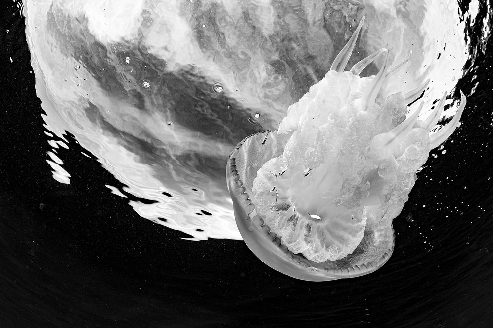 Photograph by Оксана Каменская