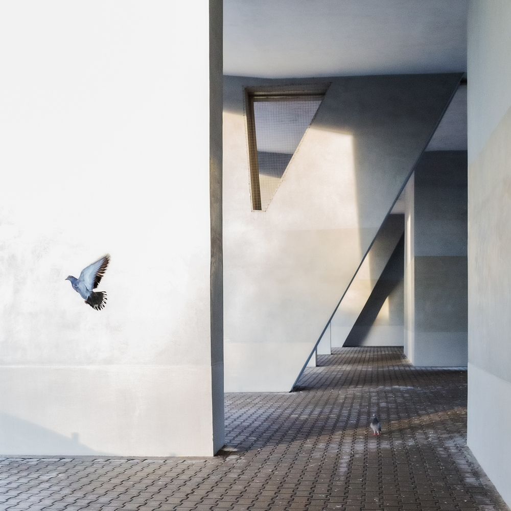 Photograph by Magda Chudzik