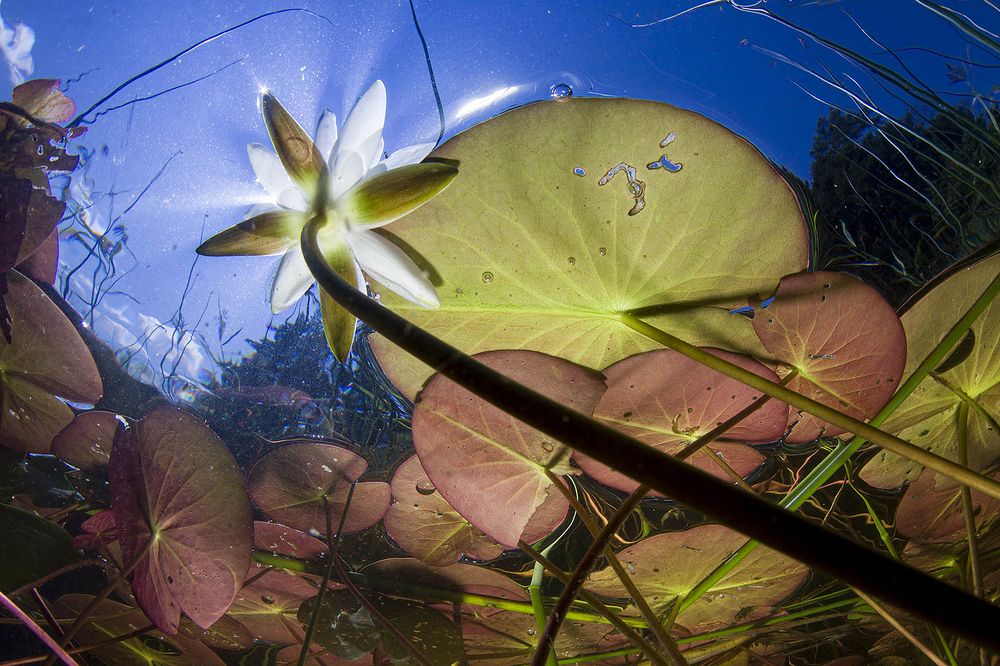 Photograph by Оксана Каменская