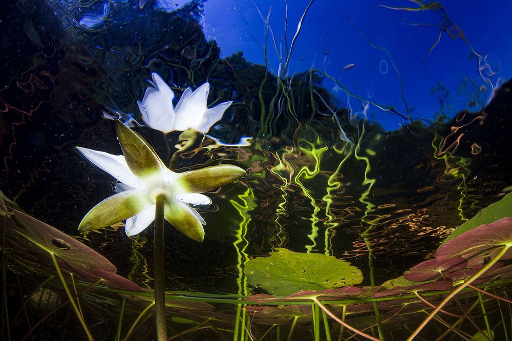 Photograph by Оксана Каменская