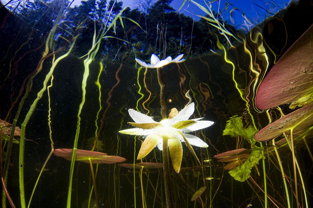 Photograph by Оксана Каменская