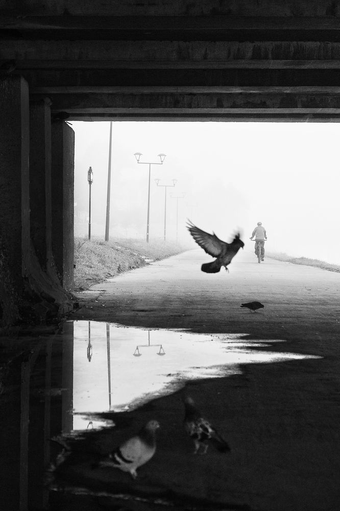 Photograph by Magda Chudzik