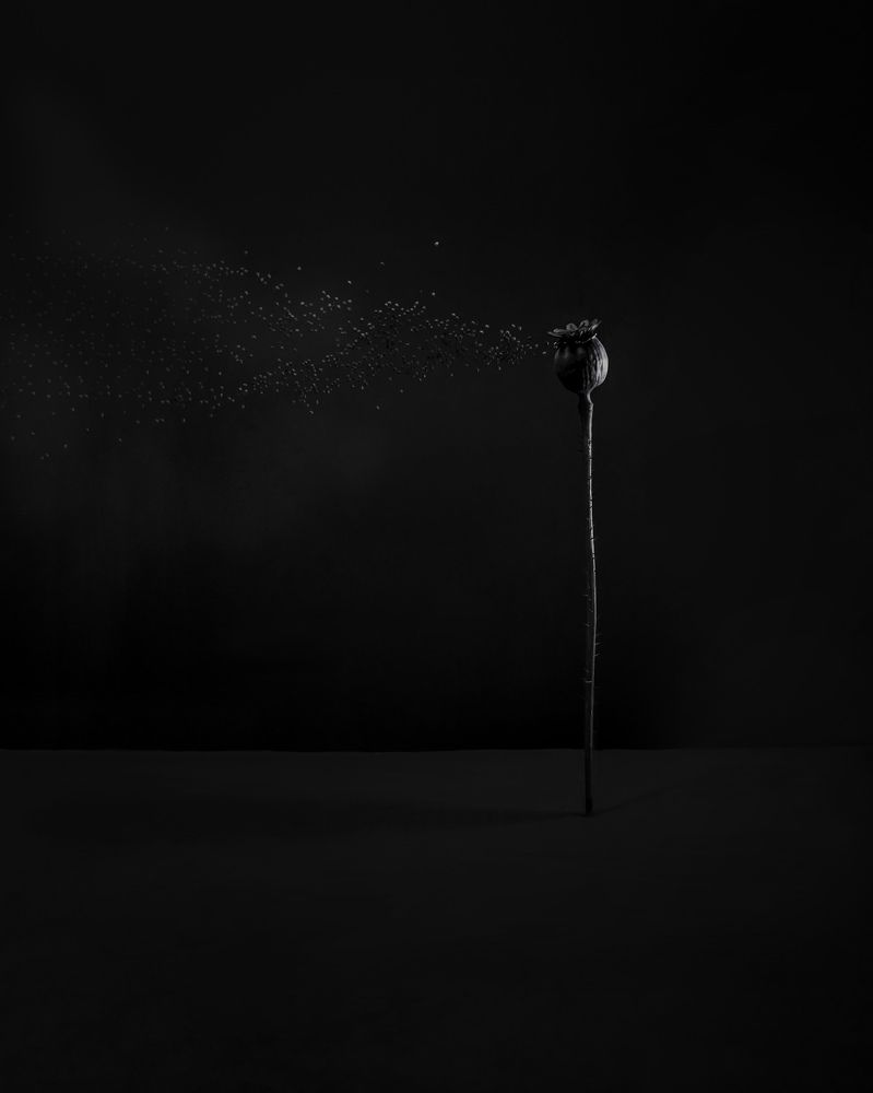 Photograph by Татьяна Логвинчук