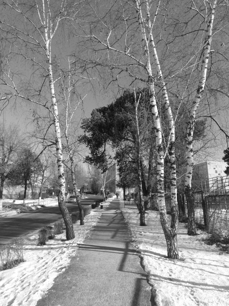 Photo #7230568