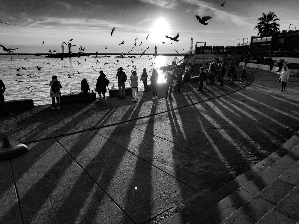 Photograph by Евгений Симион