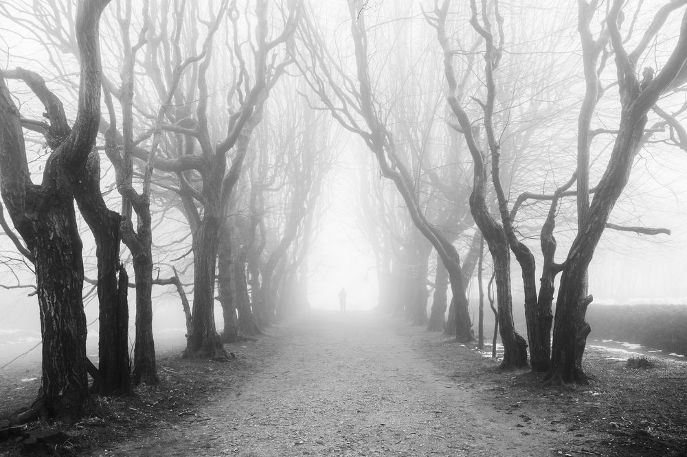 Photograph by Magda Chudzik