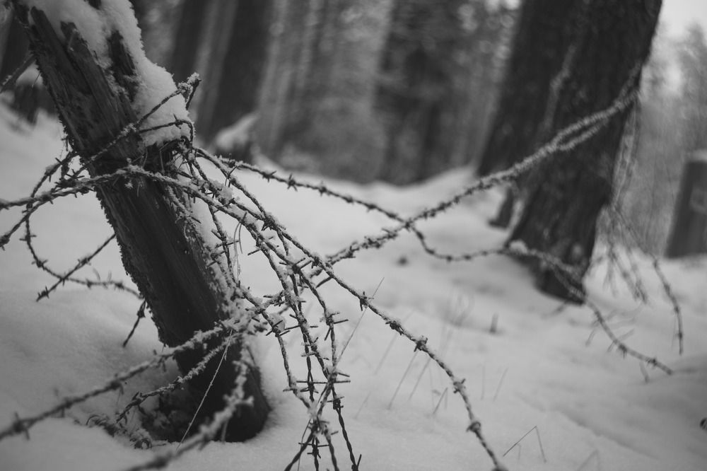 Photograph by Алексей