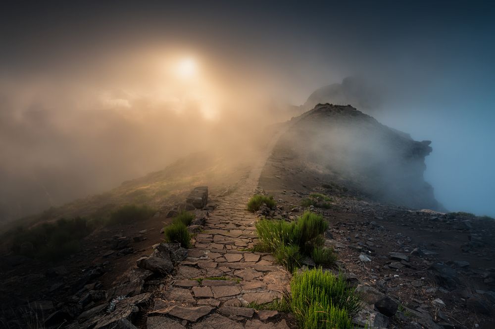 Photograph by Carlos André Silva Antunes