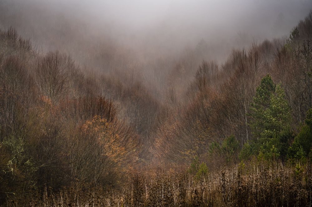 Фотография автора Fikriye Er