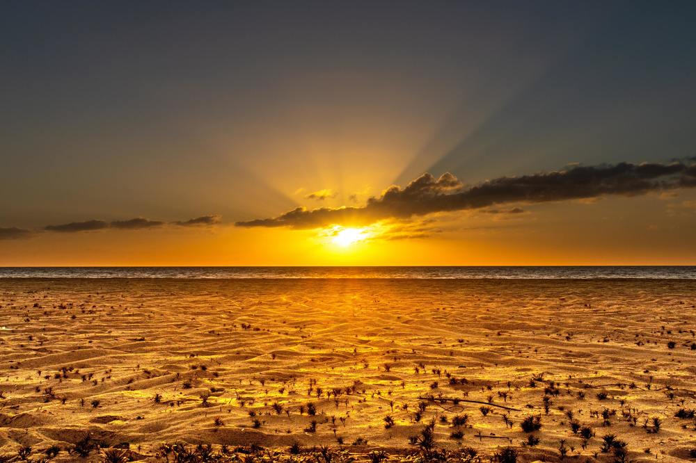 Photograph by WALLACE PACHECO SILVA