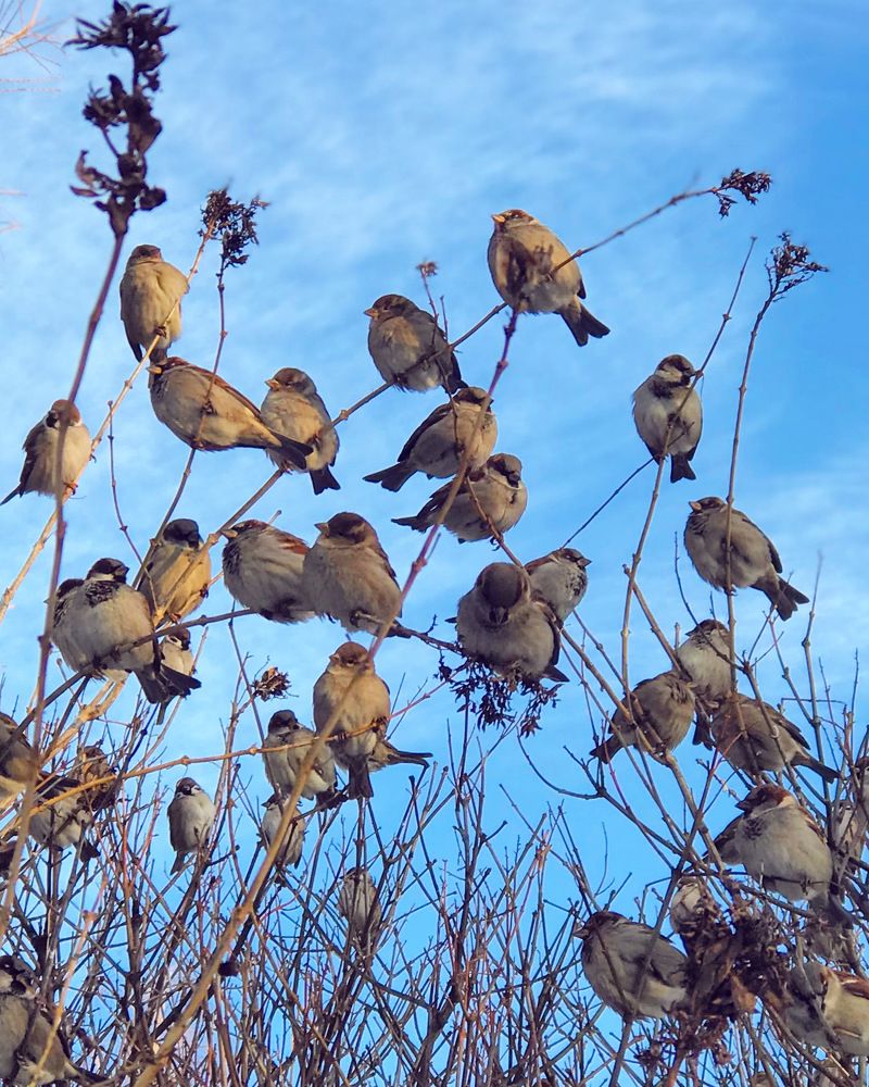 Photograph by Татьяна Волохова