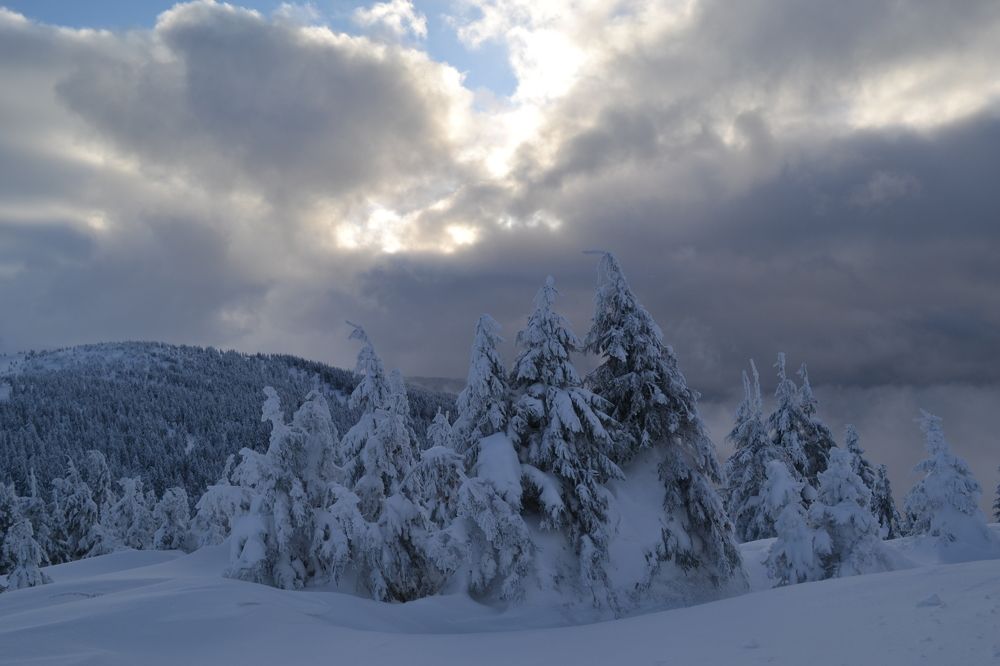 Winter in the Carpathians