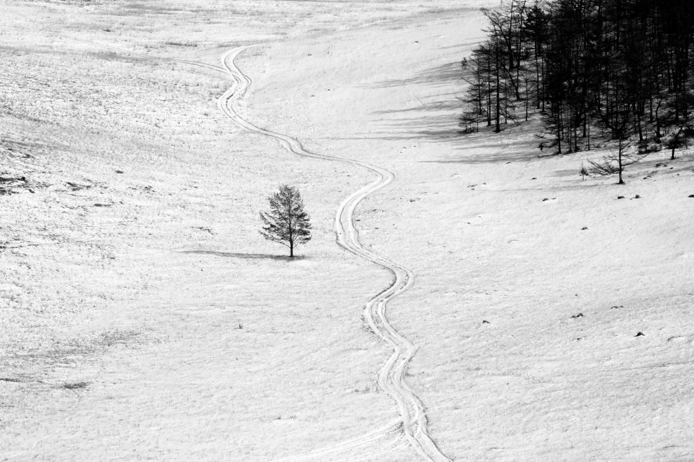 Фотография автора Елена Колосова