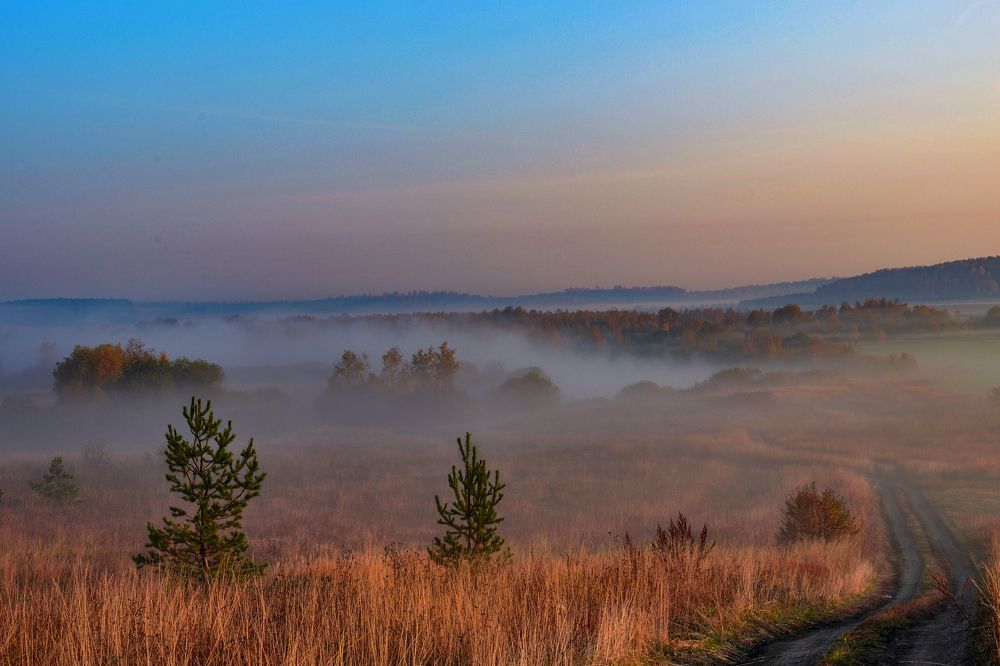 Утренний туман