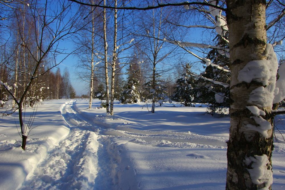 Морозный день.