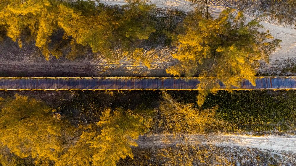 Photograph by WALLACE PACHECO SILVA