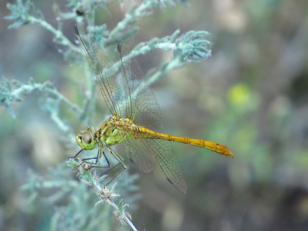 Photograph by Денис Веску