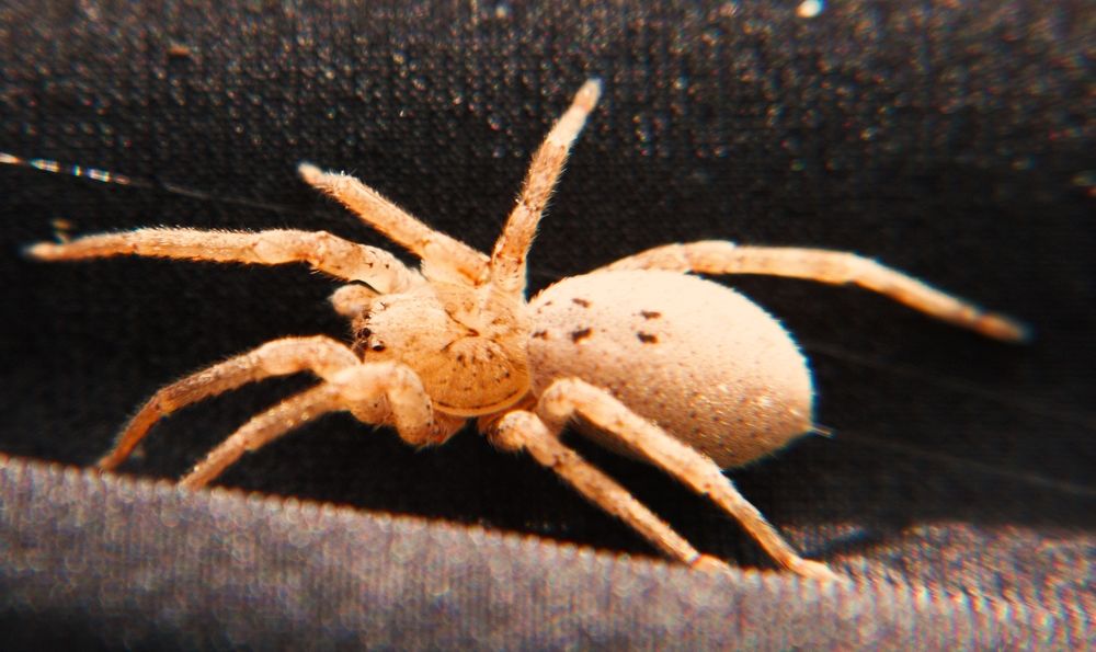 Photograph by Антонина Владимировна Завальнюк