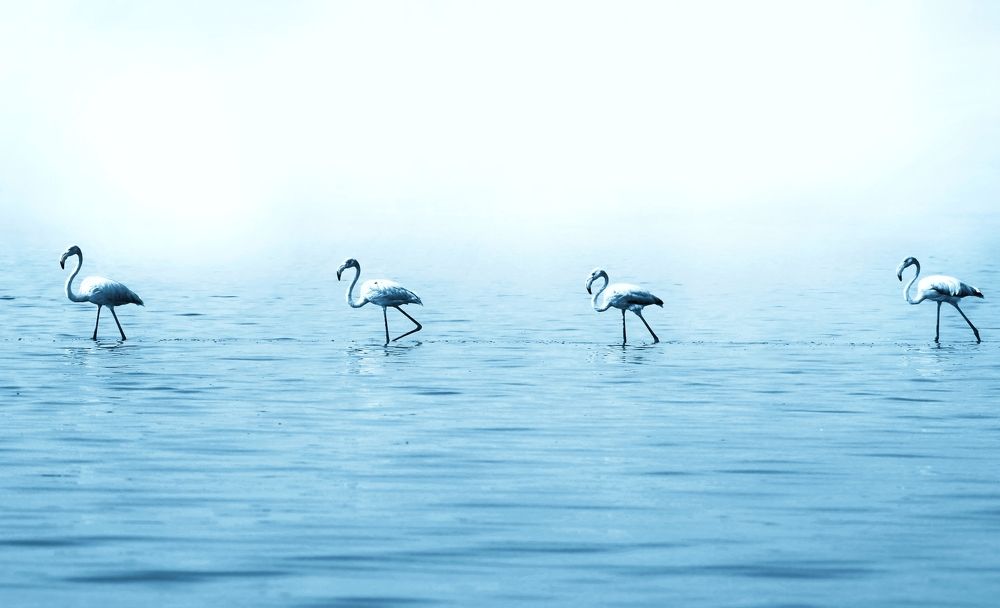 Photograph by Vishal N