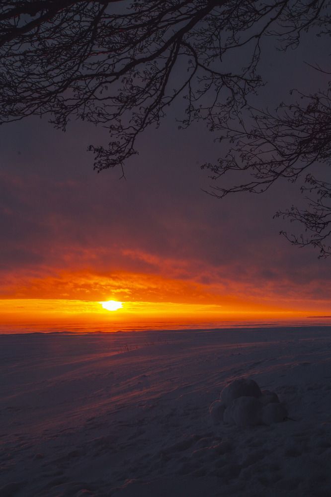 Photograph by Алексей