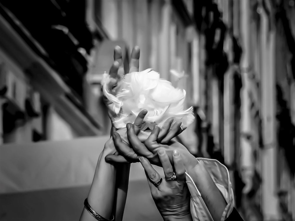 Photograph by Joanna Banaszewska