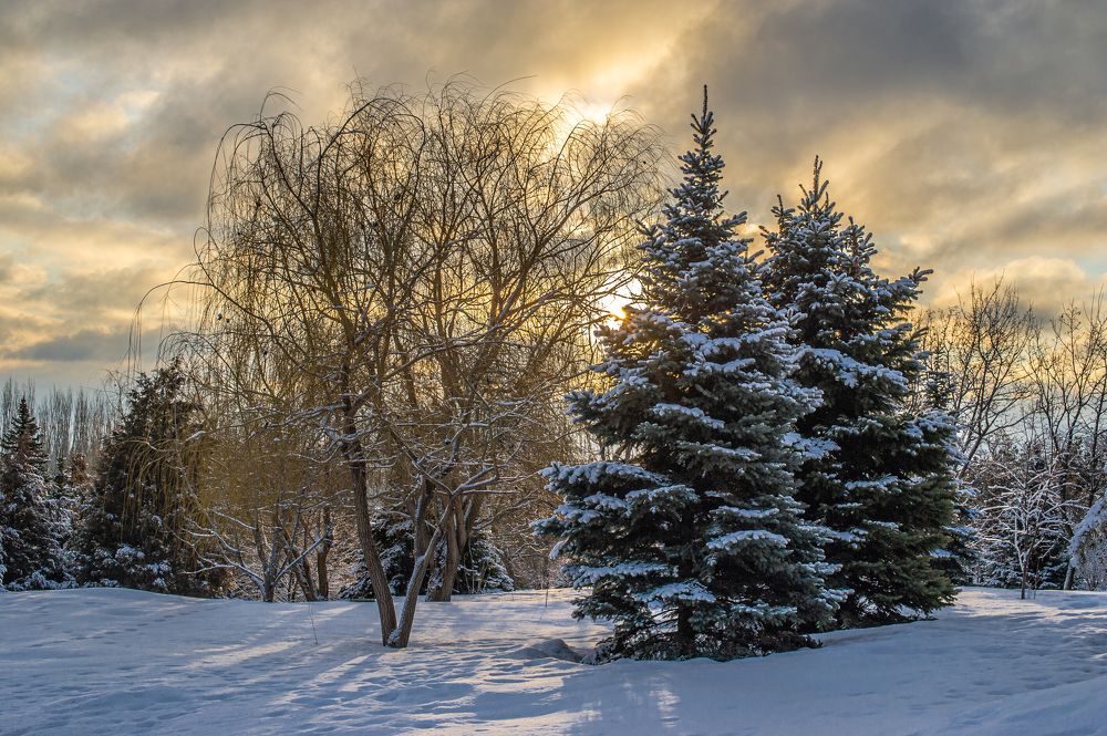 Photograph by Роман Васильев