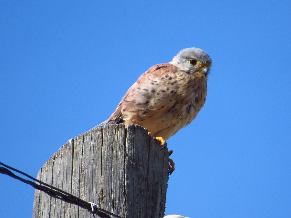 Photograph by Денис Веску