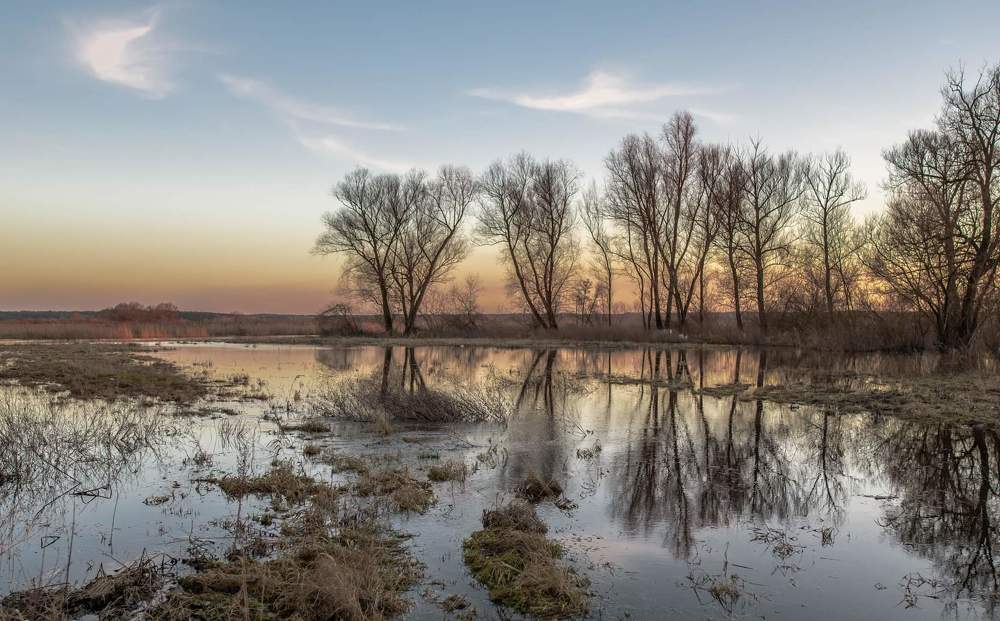 Фотография автора Justyna Jeżak