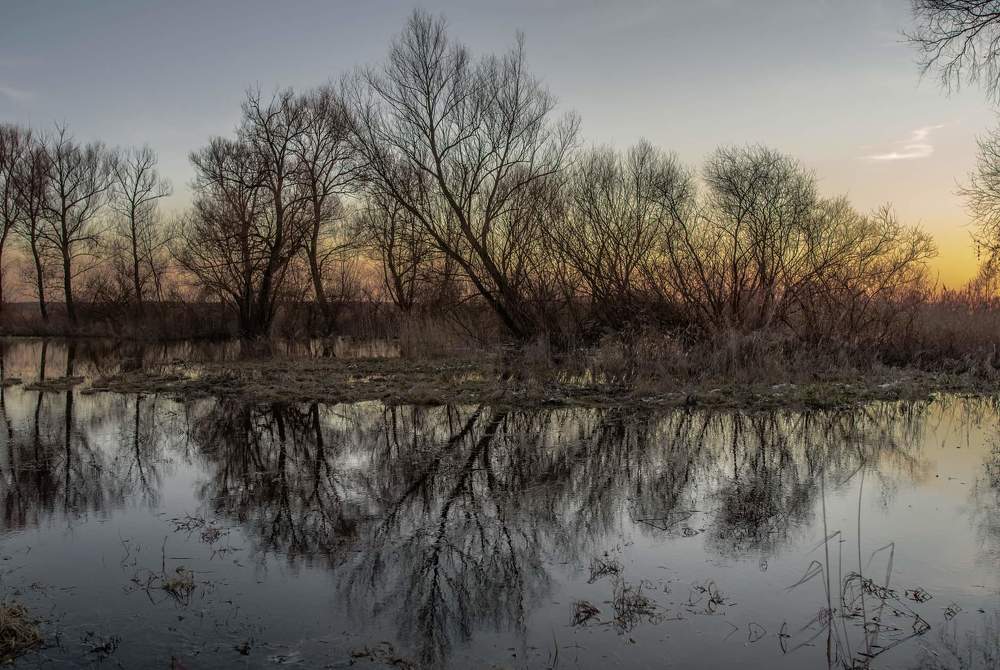 Фотография автора Justyna Jeżak