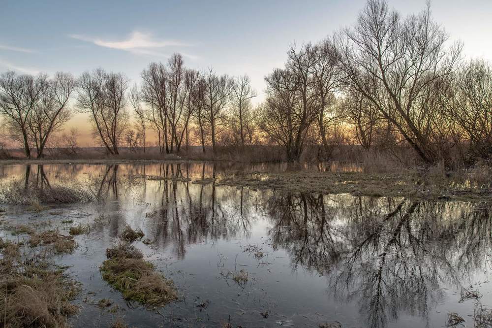 Фотография автора Justyna Jeżak