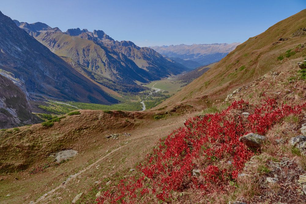 Photograph by Ирина