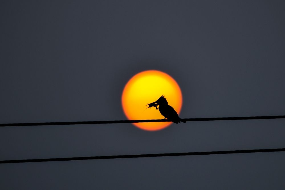 Photograph by Abu fahad Saikat