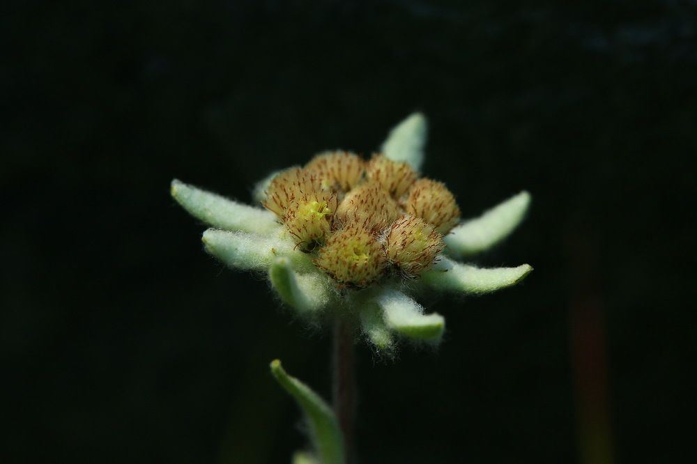 Photograph by VictОr